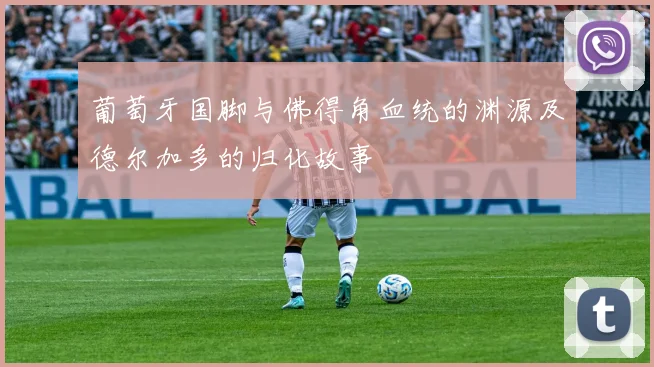 葡萄牙国脚与佛得角血统的渊源及德尔加多的归化故事