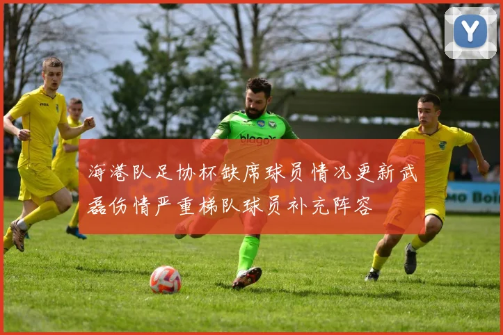 海港队足协杯缺席球员情况更新武磊伤情严重梯队球员补充阵容