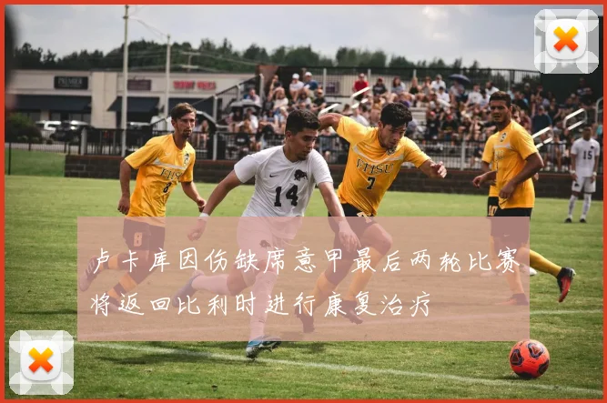 卢卡库因伤缺席意甲最后两轮比赛将返回比利时进行康复治疗